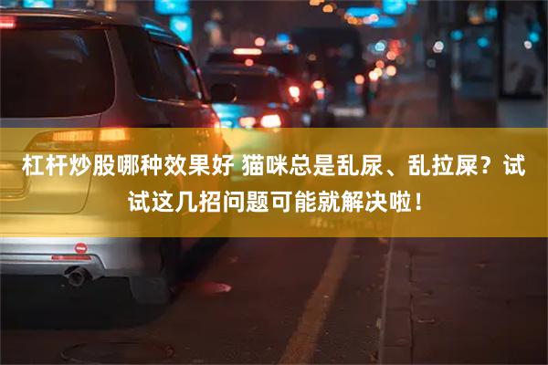 杠杆炒股哪种效果好 猫咪总是乱尿、乱拉屎？试试这几招问题可能就解决啦！