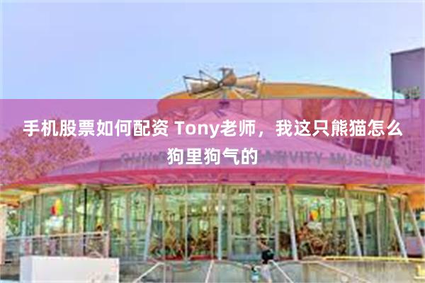 手机股票如何配资 Tony老师，我这只熊猫怎么狗里狗气的