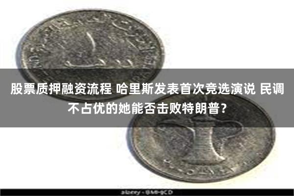 股票质押融资流程 哈里斯发表首次竞选演说 民调不占优的她能否击败特朗普？